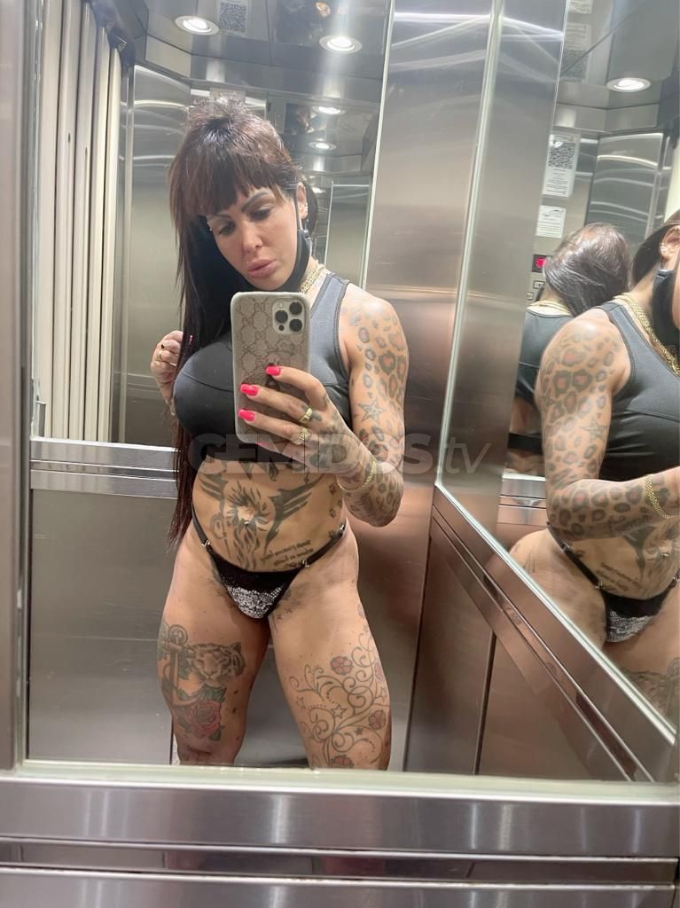 Pamefitdoll