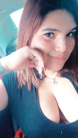 Dama ZN