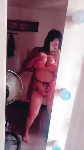 Dama ZN