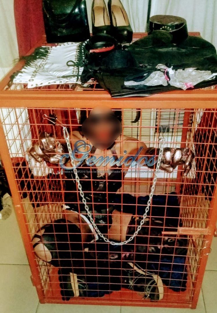 Mistress Sofia MDP
